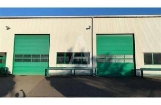 Gewerbeimmobilie mieten in 52382 Niederzier, HALLENFLÄCHE IN NIEDERZIER | 5,40 M UKB | KRANBAHN | EBENERDIG | ANGERMANN NRW