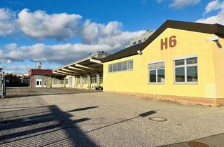 Gewerbeimmobilie kaufen in 97437 Haßfurt, *TOP-PREIS & VIEL PLATZ* Vielseitig nutzbare Halle mit ca. 7.600m² großem Grund, Nutzfl. ca. 3.000