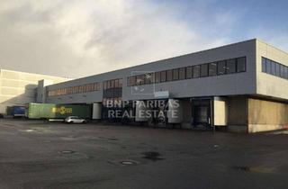 Gewerbeimmobilie mieten in 23843 Bad Oldesloe, ca. 2.500 m² Logistikfläche + ca. 3.000 m² Obergeschossfläche