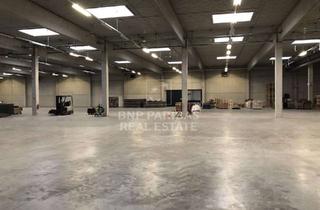 Gewerbeimmobilie mieten in 21435 Stelle, ca. 1.186 m² Rampenlager in Stelle mieten