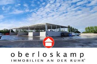 Gewerbeimmobilie mieten in 45711 Datteln, Rd. 9.000 m² großes Gewerbegrundstück mit vielseitig nutzbaren Hallenflächen & Freilagerflächen