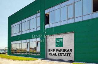 Gewerbeimmobilie mieten in 21423 Winsen, Neubauhalle in Winsen