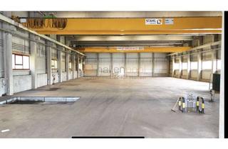 Gewerbeimmobilie mieten in 08451 Crimmitschau, Moderne 2.240 m² Industrie- und Lagerfläche mit 3 Kranbahnen und großzügigen Zufahrten *PROVISIONSFR