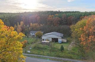 Anlageobjekt in 14806 Bad Belzig, Großes Grundstück, große Halle und vielseitige Nutzungsmöglichkeiten