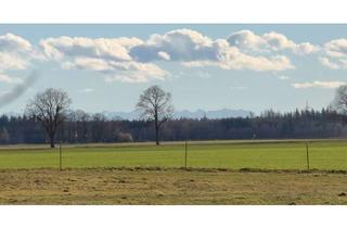 Grundstück zu kaufen in 82287 Jesenwang, Bauplatz mit Baugenehmigung für eine Doppelhaushälfte mit großem Garten und Privatstraße