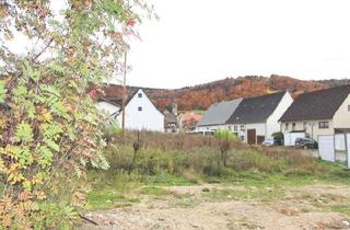 Grundstück zu kaufen in Probststraße 18, 78589 Dürbheim, Großes Eckgrundstück in zentraler Lage