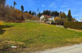 Grundstück zu kaufen in Thalackerstr. 49, 82380 Peißenberg, Sonniges Südgrundstück am Waldrand