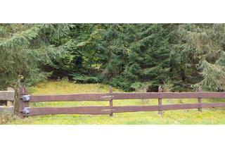 Grundstück zu kaufen in Schliertal 235, 67468 Frankenstein, Schönes Grundstück im Pfälzer Wald!