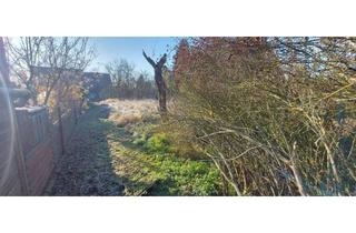 Grundstück zu kaufen in 06846 Kleinkühnau, Idyllisches Baugrundstück am Stadtrand!!!