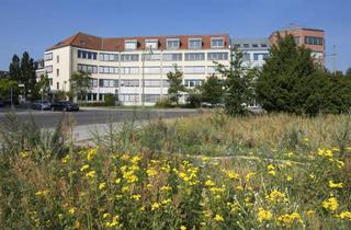 Büro zu mieten in Ricarda-Huch-Straße, 14480 Kirchsteigfeld, Modernes helles Büro für kreatives Arbeiten