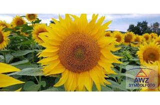 Gewerbeimmobilie kaufen in 86934 Reichling, Ackerland