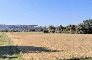 Gewerbeimmobilie kaufen in An Dem Eselspfad, 35584 Wetzlar, Ackerland in Naunheim