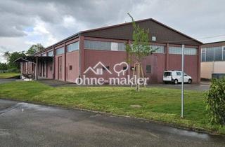Geschäftslokal mieten in 77749 Hohberg, Gewerbe-/ Logistikhalle 400 m2 zu vermieten