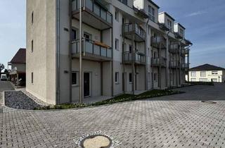Wohnung mieten in Am Freizeitpark, 01477 Arnsdorf, Hochwertige 2 Raumwohnung im Erstbezug mit Parkett, Balkon und Einbauküche