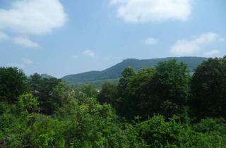 Wohnung mieten in Schleifmühlestraße 11, 73277 Owen, 1-Zimmer-DG-Wohnung mit Loggia und Blick auf die Teck