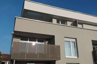 Wohnung mieten in Heuchelbergstraße 28, 74336 Brackenheim, Erstbezug: moderne 3,5-Zimmer-Wohnung in Brackenheim