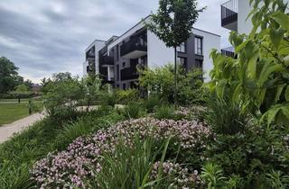 Wohnung mieten in Illenauer Straße 43-53, 77855 Achern, Familienfreundliche 3 Zimmer-Wohnung mit zwei Balkonen