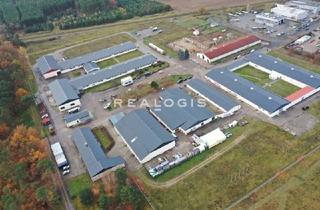 Büro zu mieten in 14547 Beelitz, Beelitz, ca. 2.600 m Lager und Produktion zzgl. Freiflächen und Büro