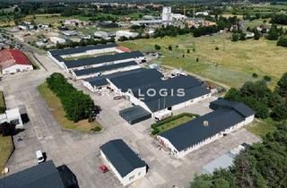 Büro zu mieten in 14547 Beelitz, Beelitz, ca. 3.565 m² Lager und Produktion zzgl. Freiflächen und Büro