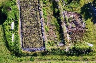 Grundstück zu kaufen in 16356 Werneuchen, Der Platz für Ihren HaustraumBaugrundstück im grünen Tiefensee - Jetzt Aktionsangebot nutzen