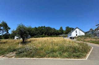 Grundstück zu kaufen in Bornstraße, 35466 Rabenau, Voll erschlossenes Baugrundstück für Naturliebhaber zwischen Marburg und Gießen