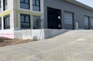 Büro zu mieten in 63939 Wörth, Hochwertiges 2-Ebenen-Büro im Neubau mit raumhohen Fensterfronten