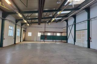 Lager mieten in 99510 Apolda, Großflächige Produktionshalle mit zusätzlichen Büroflächen in Apolda