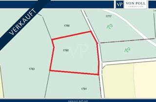 Immobilie kaufen in 90616 Neuhof, VON POLL | Ca. 2.991 m² Fichtenwald in Kolmberg, Neuhof an der Zenn