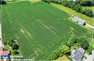 Immobilie kaufen in 94315 Straubing, Landwirtschaftliche Fläche mit Potential im Stadtgebiet Straubing