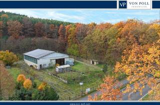 Gewerbeimmobilie kaufen in 14806 Bad Belzig, Großes Grundstück, große Halle und vielseitige Nutzungsmöglichkeiten