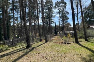 Immobilie kaufen in 14822 Borkheide, 30 Min bis Potsdam oder Berlin: Sonniges Baugrundstück mit Baugenehmigung in Borkheide