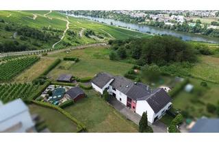 Haus kaufen in 54470 Graach, Graach - Wohnen über der Mosel: Modernisiertes Doppelangebot mit großem Grundstück