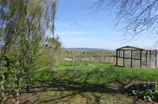 Einfamilienhaus kaufen in 55234 Bechtolsheim, Bechtolsheim - Einfamilienhaus mit ELW auf großem Grundstück, traumhafte Lage