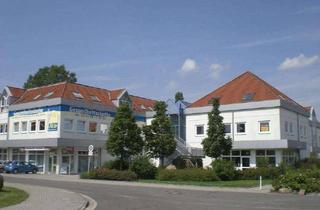 Wohnung mieten in Dewitzer Straße 77 a-j, 04425 Taucha, Schön geschnittene und sofort bezugsfertige Einraumwohnung *direkt vom Vermieter*