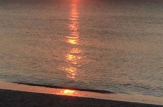 Wohnung mieten in Lange Reihe 26, 18314 Lüdershagen, kernsanierter Bauernhof mit 2 Zimmer Wohnung in Lüdershagen