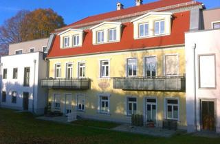 Wohnung mieten in Kirchstraße 10a, 37339 Leinefelde-Worbis, Schöne 3 Zimmer DG Wohnung mit 2 Stellplätzen