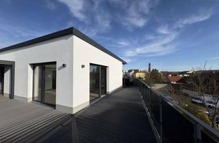 Wohnung mieten in Freiung, 84137 Vilsbiburg, Exklusive 2- Zimmer-Dachgeschosswohnung in Erstbezug mit traumhafter Dachterrasse