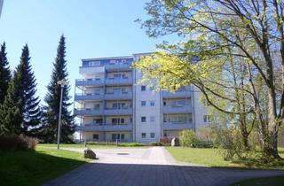 Wohnung mieten in Friedrich-Ebert-Str., 23909 Ratzeburg, Frisch gestrichene 2,5 Zimmer in Ratzeburg