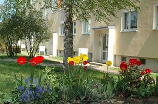 Wohnung mieten in Remscheider Straße, 01796 Pirna, Ruhig und doch zentral - gemütliche 3-Raum-Wohnung Pirna Sonnenstein