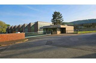 Gewerbeimmobilie mieten in Carl-Jacob-Kolb-Weg, 97877 Wertheim, Vielseitige Produktions- & Lagerhalle 2.800 m² + 9.400 m² Freifläche in Wertheim-Bestenheid