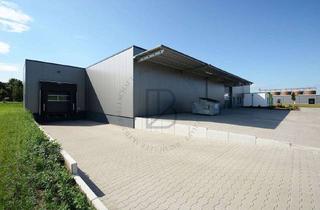 Gewerbeimmobilie mieten in 64319 Pfungstadt, "BAUMÜLLER AG" - moderne Logistik-Hallenfläche - ca. 800 m² - nahe BAB