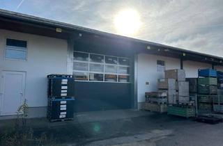 Gewerbeimmobilie mieten in 94447 Plattling, Lagerhalle in Plattling Kaltlager 480 qm