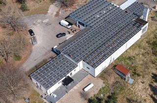 Gewerbeimmobilie kaufen in Industriestraße 51, 29389 Bad Bodenteich, Attraktives Gewerbeobjekt mit Lagerhallen- großer Photovoltaikanlage und einer Wohneinheit