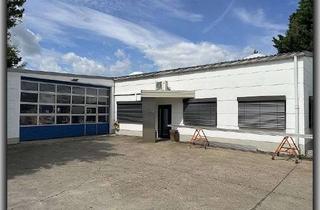 Büro zu mieten in 67547 Weinsheim, Nr. 1942 * Produktionshalle mit Büros und Sozialräumen *