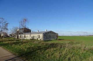 Anlageobjekt in 68723 Plankstadt, Schweinestall mit 2000 m² Grundstücksfläche
