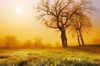 Grundstück zu kaufen in 64367 Mühltal, Großzügiges Baugrundstück in Mühltal-Traisa