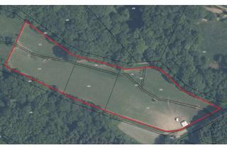 Grundstück zu kaufen in 56814 Illerich, Eingefriedetes Weideland mit insgesamt 14.196 m² zu verkaufen