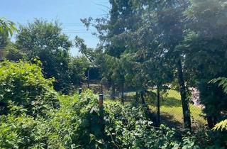 Grundstück zu kaufen in 13059 Wartenberg, teilbares Grundstück für 2 Einfamilienhäuser in Wartenberg