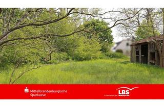 Grundstück zu kaufen in 14715 Kotzen, Grün, Grün, Grün sind alle meine Träume