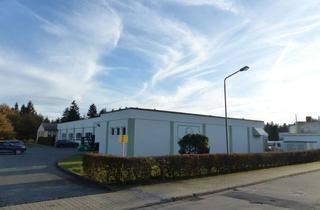 Gewerbeimmobilie kaufen in 98724 Neuhaus, Industriehalle mit Anbau und Grundstück